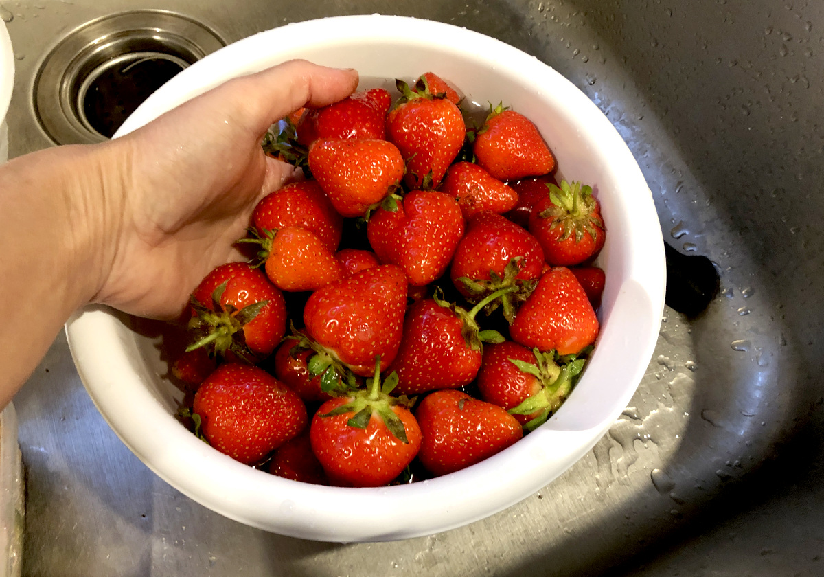 Washing my home-grown strawberries in baking soda and water solution. Photo by Pantry Stocking Garden